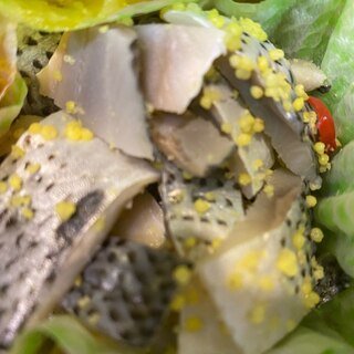 3ページ目 コノシロレシピ 作り方の人気順 簡単料理の楽天レシピ 3ページ目 コノシロレシピ 作り方の人気順 簡単料理の楽天レシピ